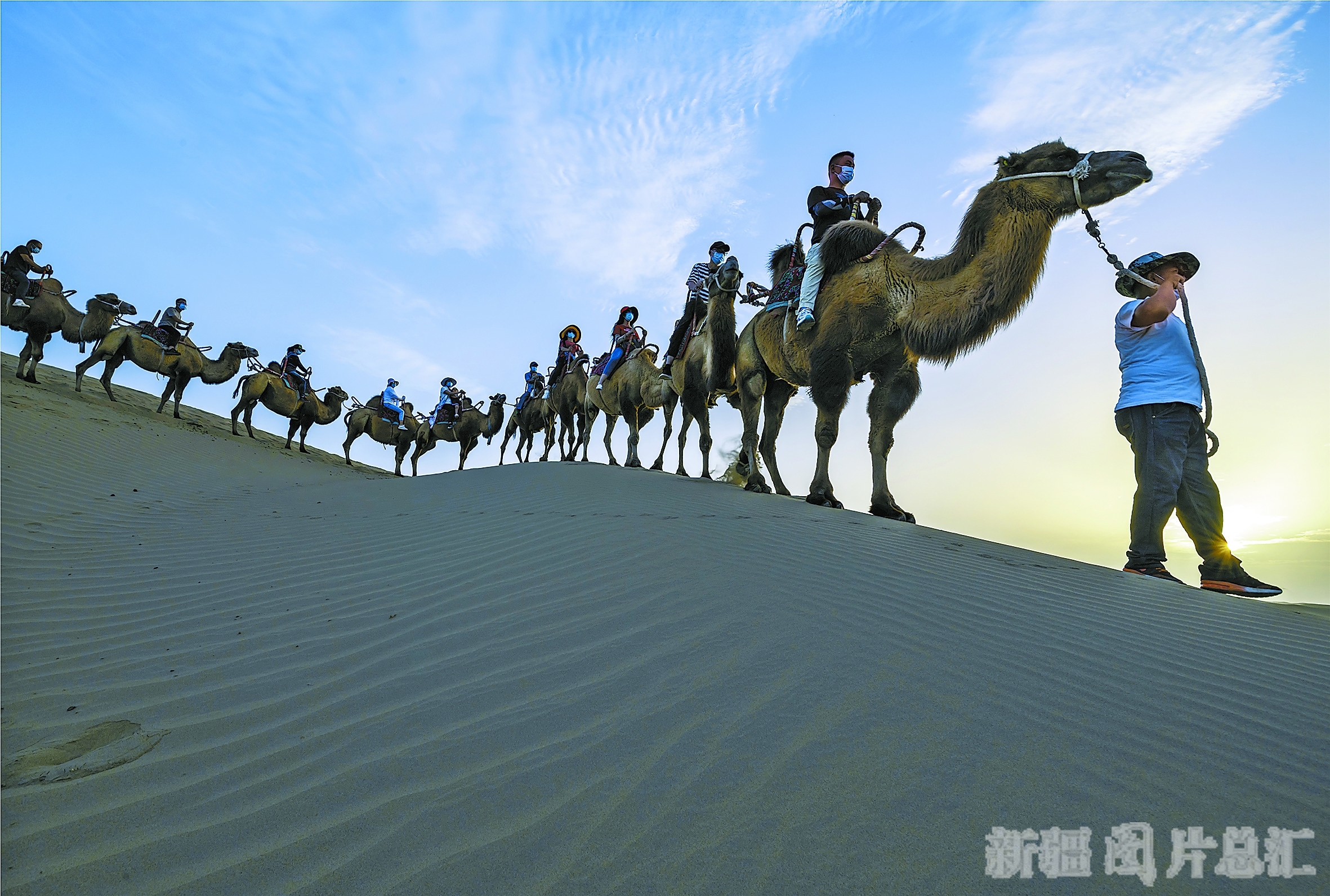 九游娱乐登录-关于罜?的信息